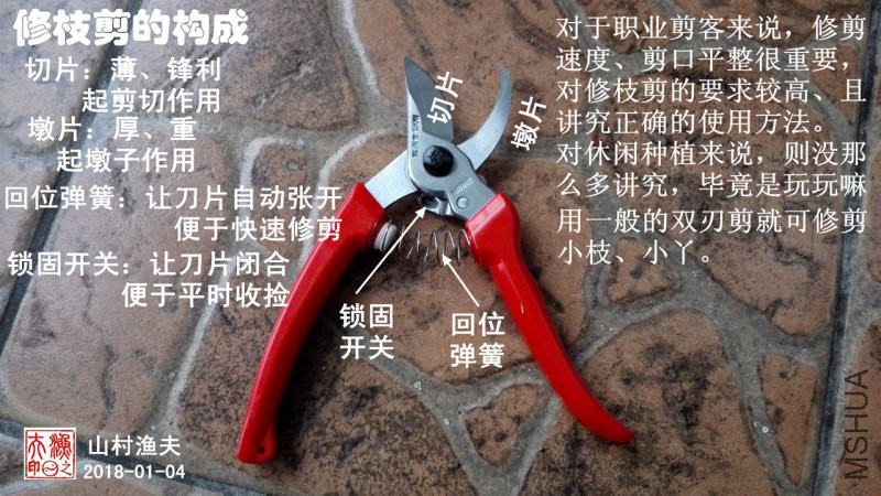 G-02��ʶ��֦��.jpg
