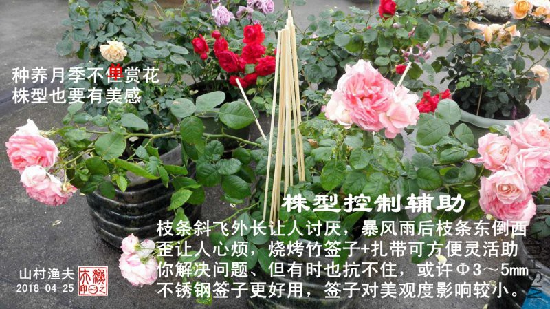 K-01���Ϳ��Ƹ���.jpg