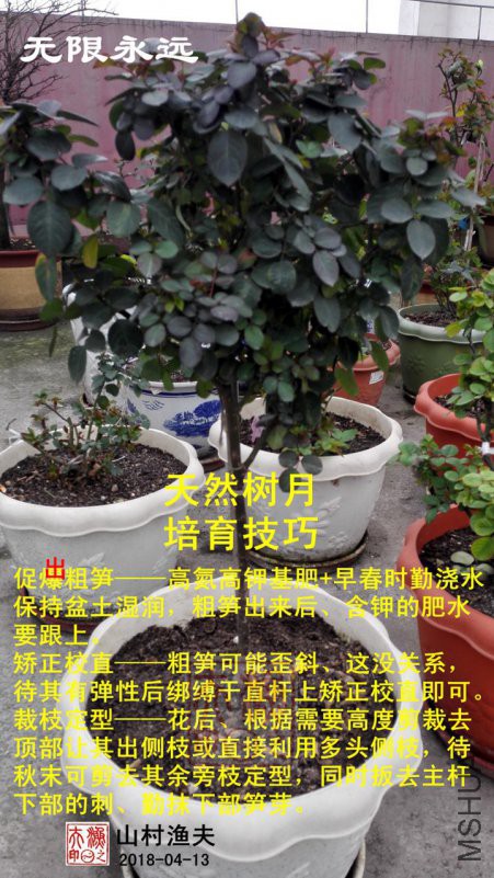K-03��������.jpg