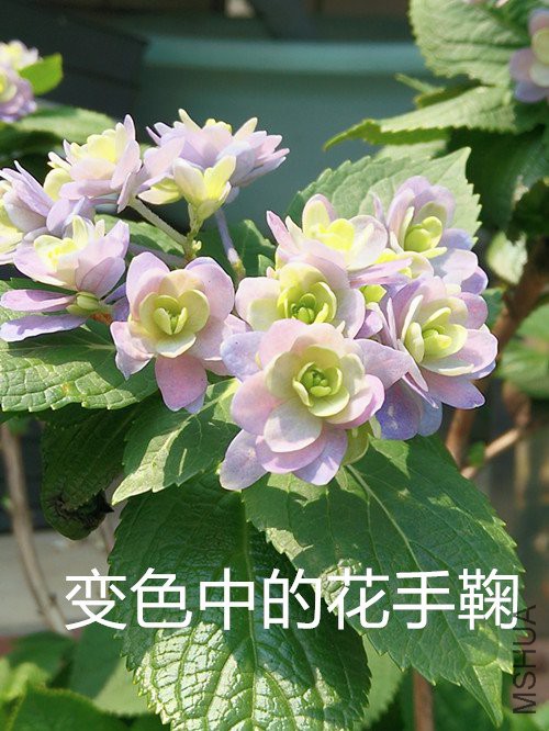 IMG20180322131445.jpg