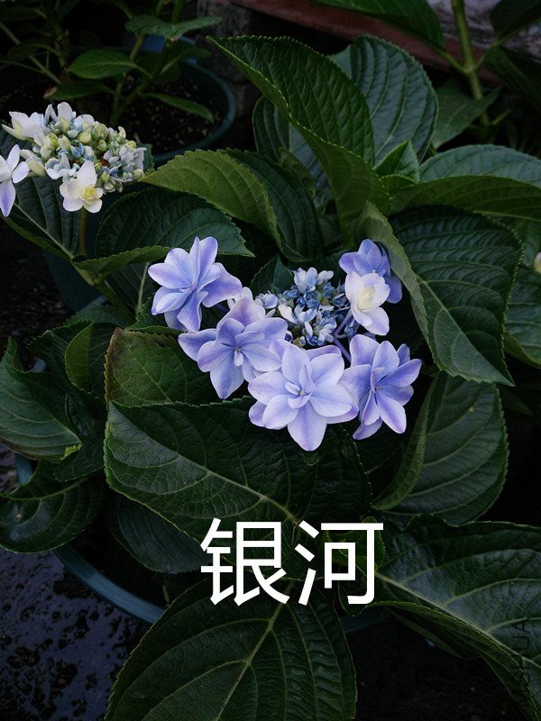 IMG20180503184038.jpg