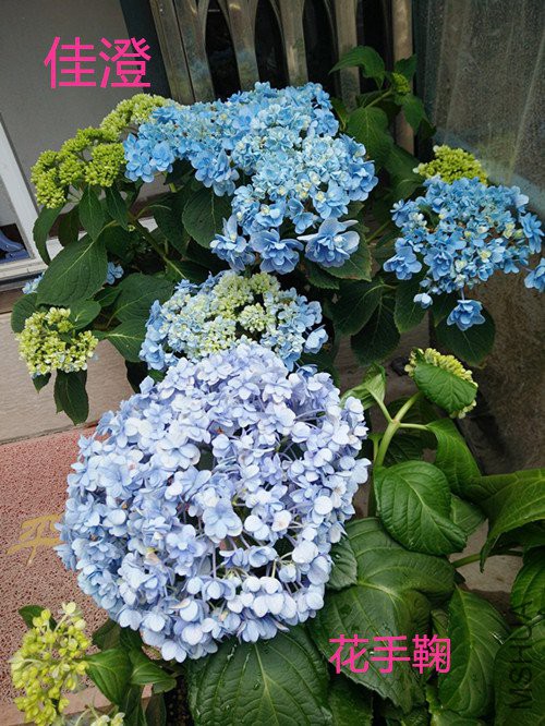 IMG20180502123051.jpg