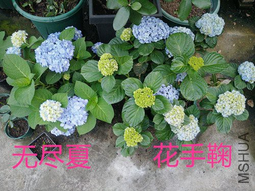 IMG20180503184218.jpg