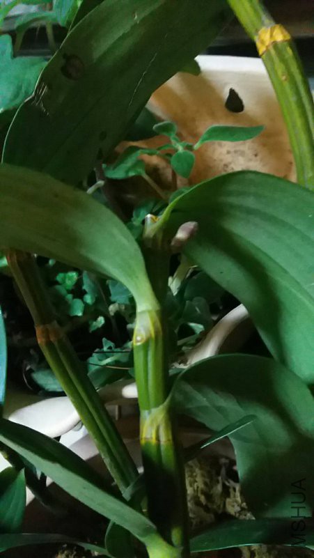 ΢��ͼƬ_20180504104102.jpg