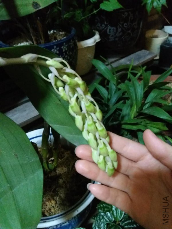 ΢��ͼƬ_20180504104126.jpg