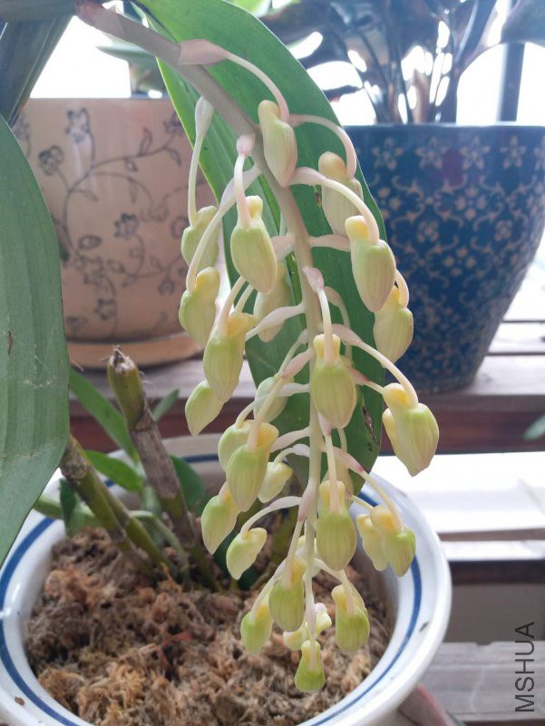 ΢��ͼƬ_20180504104130.jpg