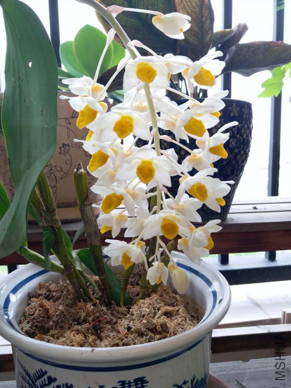 ΢��ͼƬ_20180504104136.jpg
