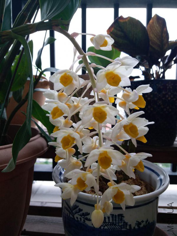 ΢��ͼƬ_20180504104139.jpg