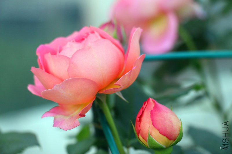 �������