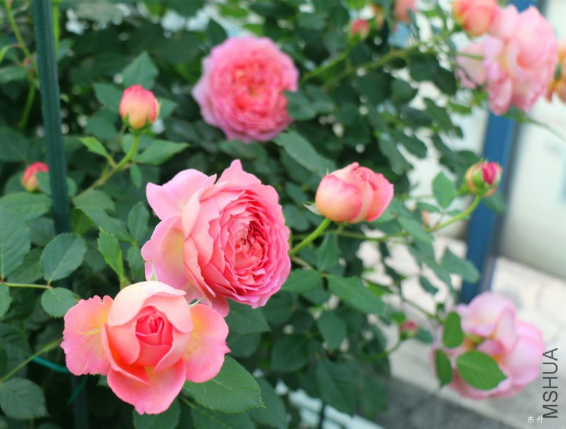 �������