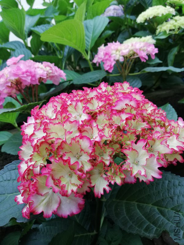 QQͼƬ20180504223103.jpg