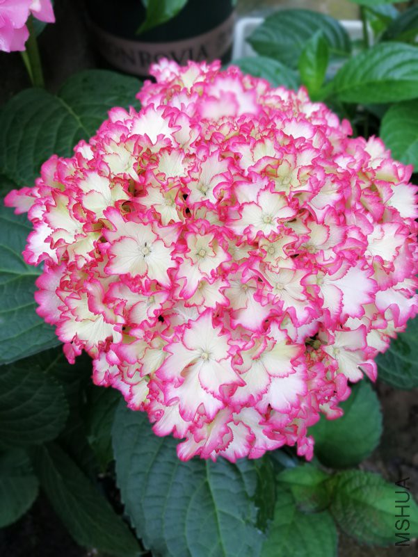 QQͼƬ20180504223119.jpg