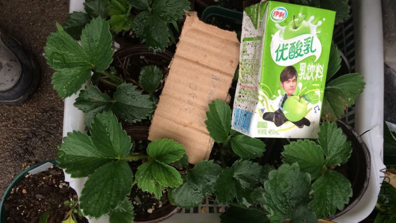 TIMͼƬ20180505095625.jpg