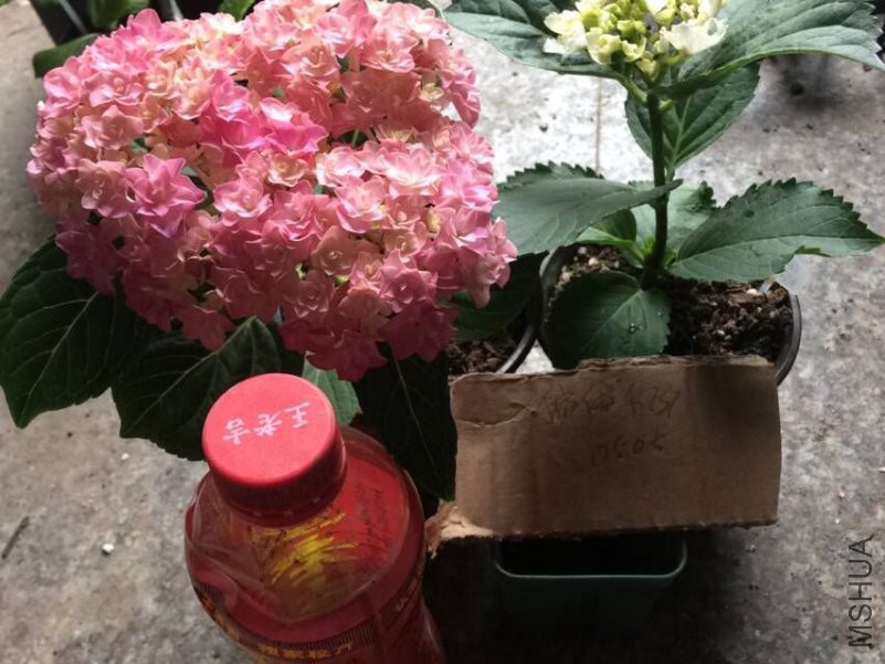 TIMͼƬ20180505095606.jpg