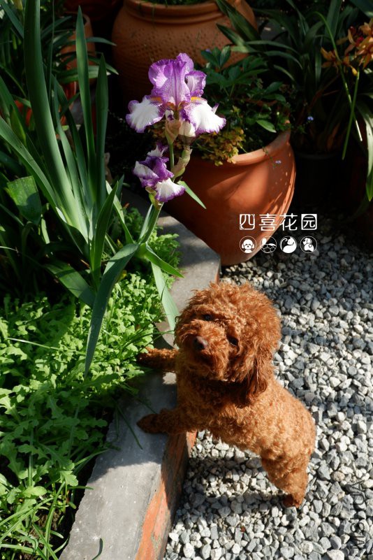DSCF2600.JPG