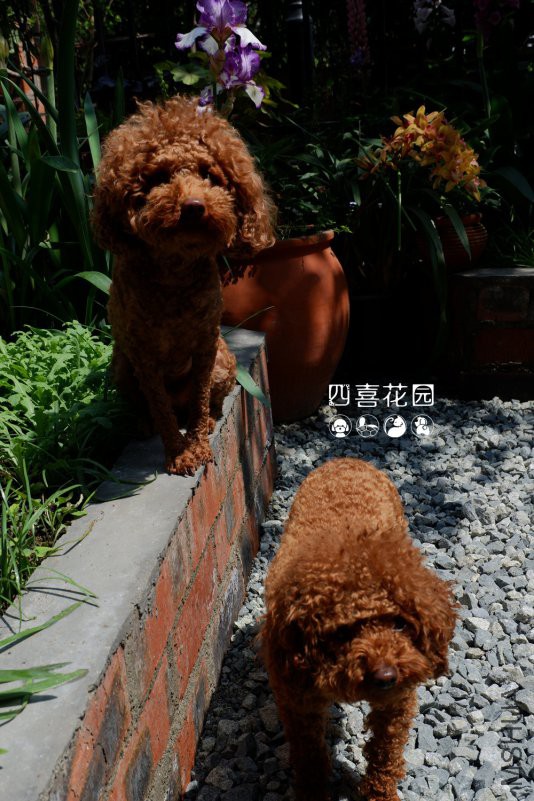 DSCF2631.JPG