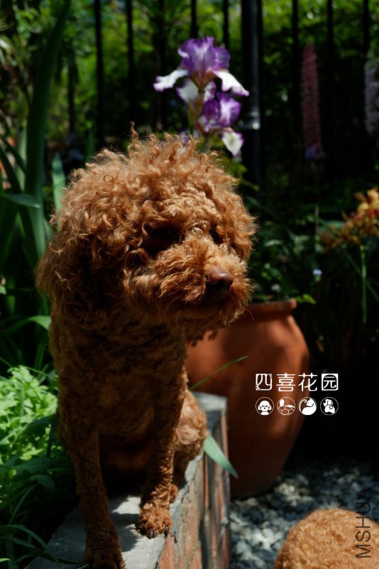 DSCF2637.JPG