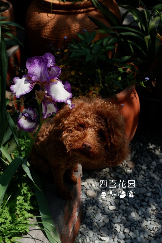 DSCF2646.JPG