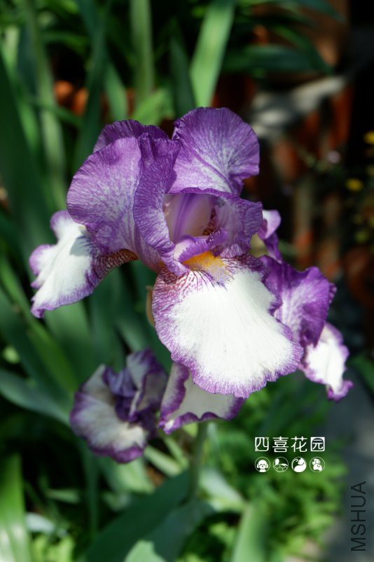 DSCF2640.JPG