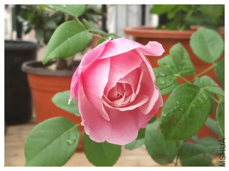 20180503_084426.jpg