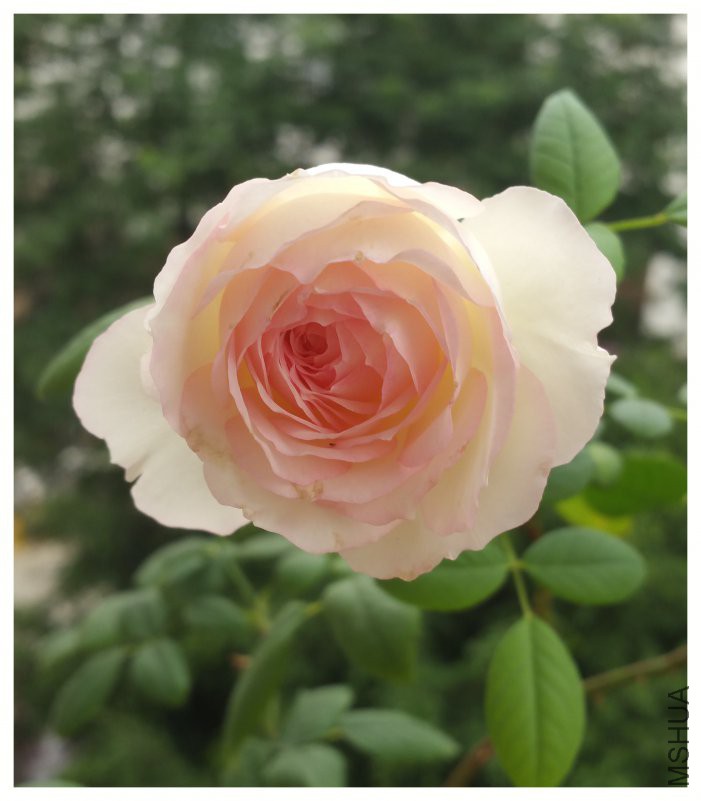 20180505_072435.jpg