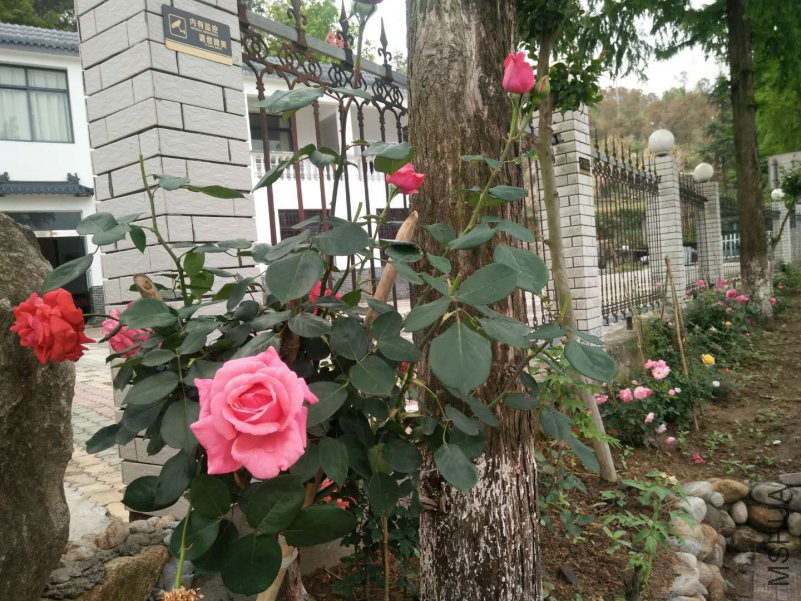 ΢��ͼƬ_20180502085158 - ����.jpg