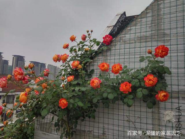 3B1B0209-2657-4C93-A3C1-289E350B84F2.jpeg