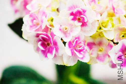 44DC229E-C06E-4B90-9BC8-9E7A48E65C6B.jpeg
