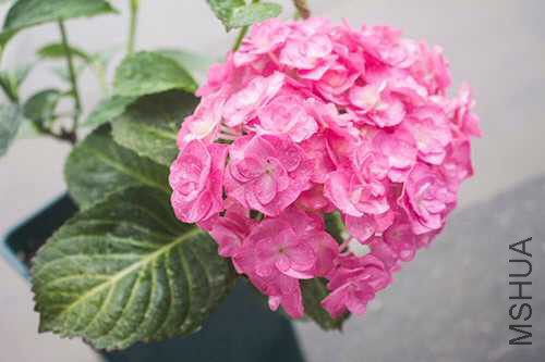 241C757A-FBE8-4BC0-B11C-4BFA6B1589A9.jpeg