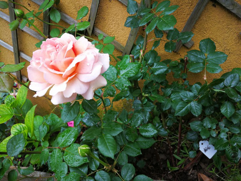 ΢��ͼƬ_20180507100759.jpg