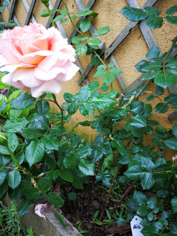 ΢��ͼƬ_20180507100846.jpg