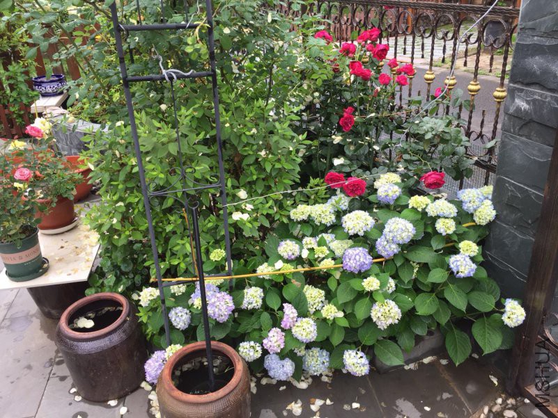 ΢��ͼƬ_20180507090424.jpg
