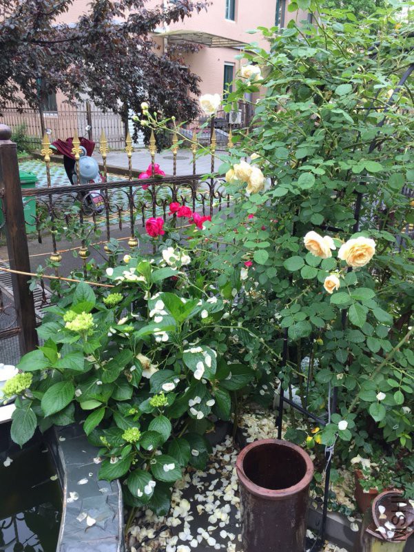 ΢��ͼƬ_20180507090445.jpg