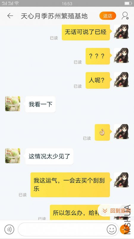 02.jpg