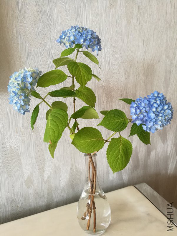 QQͼƬ20180507190836.jpg