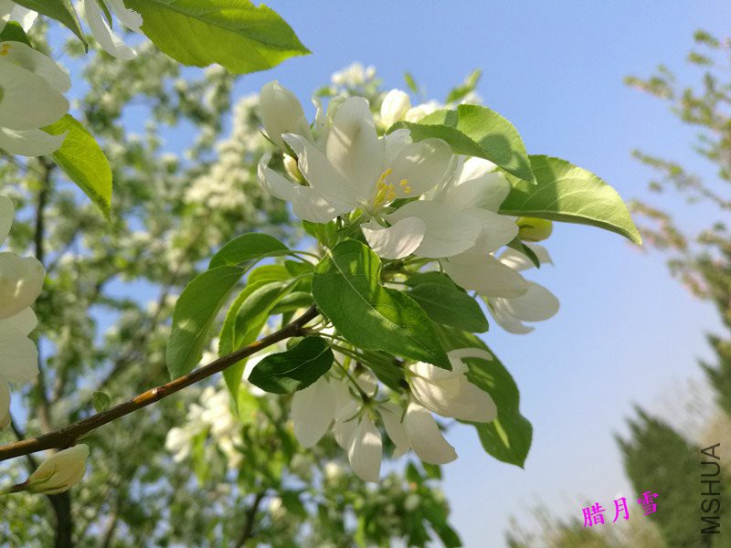 QQͼƬ20180409141656_����_����.jpg