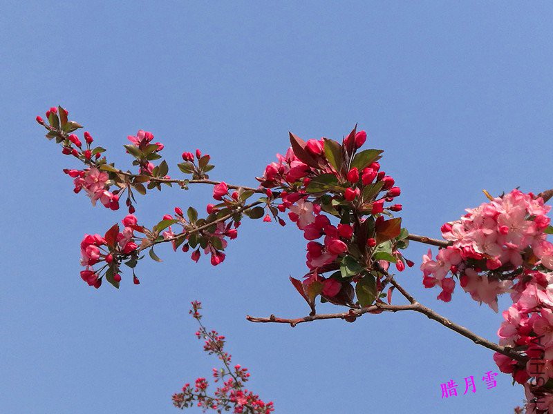 QQͼƬ20180409141725_����_����.jpg