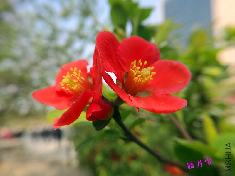 QQͼƬ20180409142347_����_����.jpg