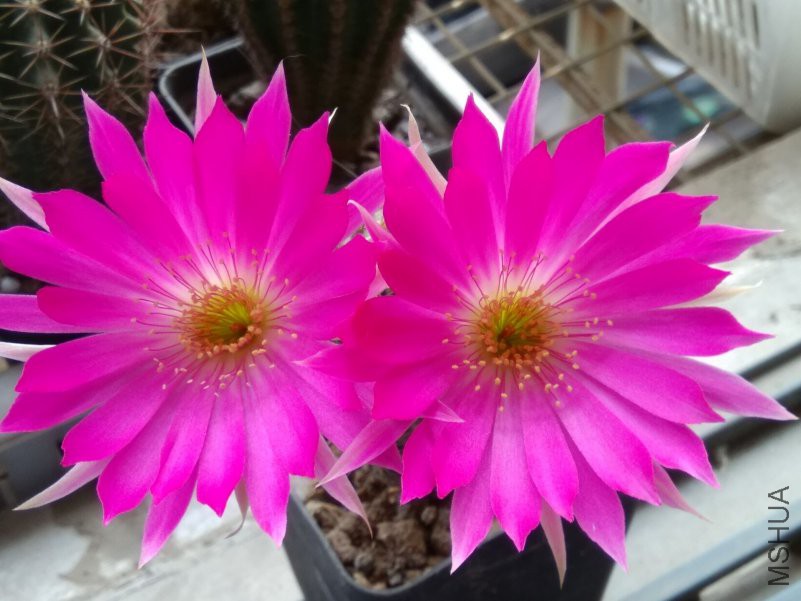 7237FCAB49E71AD301713ED360825D90.jpg