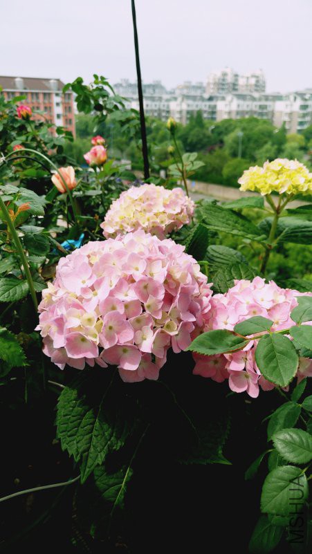 ��Ƭ 079.jpg