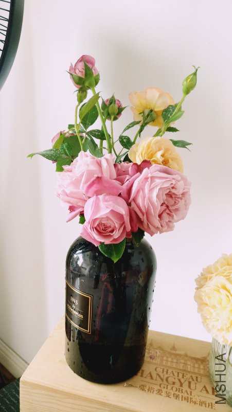 ��Ƭ 077.jpg