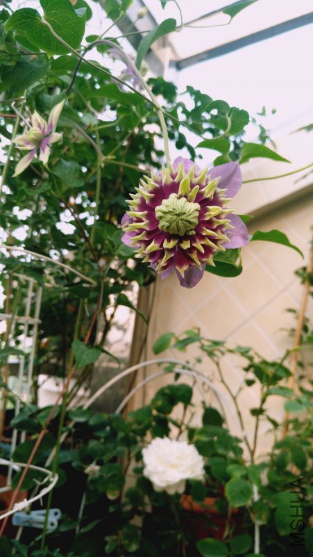 ��Ƭ 067.jpg