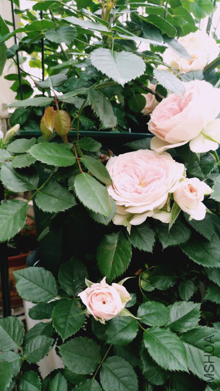 ��Ƭ 071.jpg