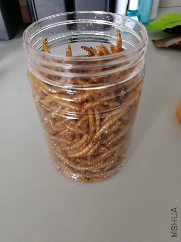 ΢��ͼƬ_20180508144502.jpg