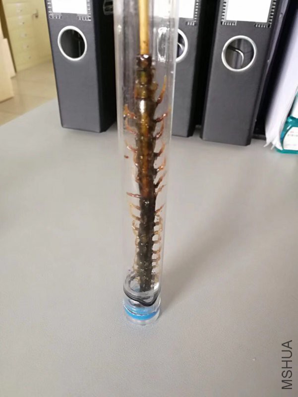 ΢��ͼƬ_20180508144515.jpg