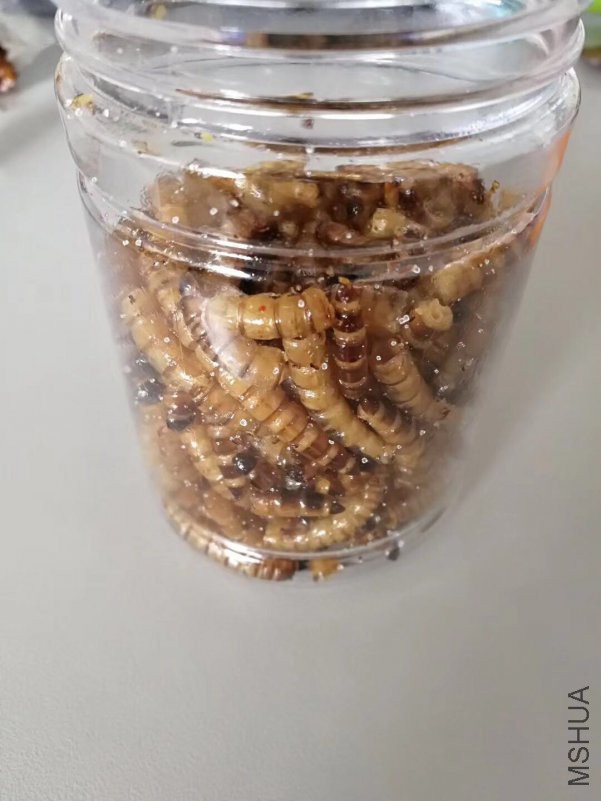΢��ͼƬ_20180508144511.jpg