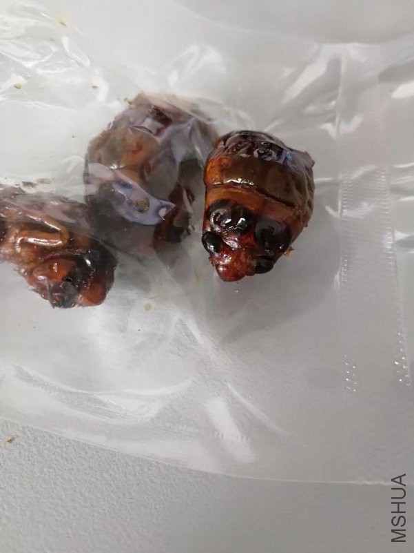 ΢��ͼƬ_20180508144521.jpg