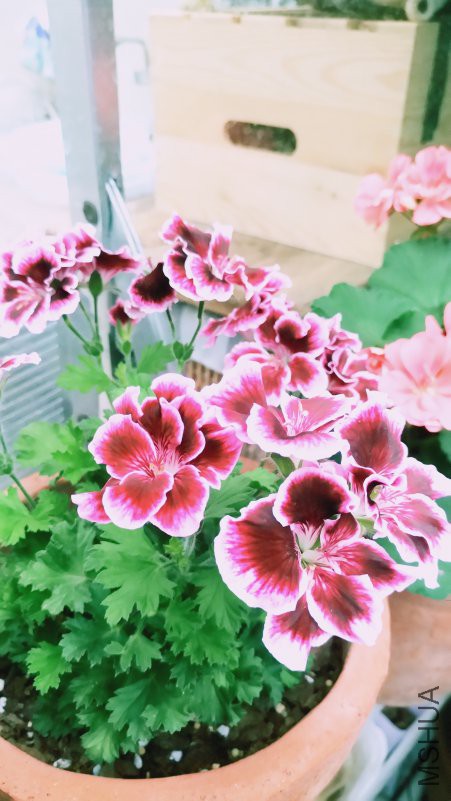 ��Ƭ 097.jpg