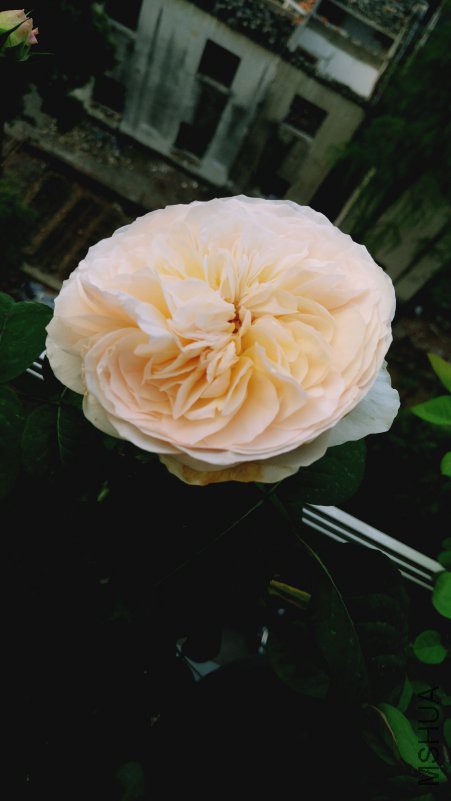 ��Ƭ 095.jpg