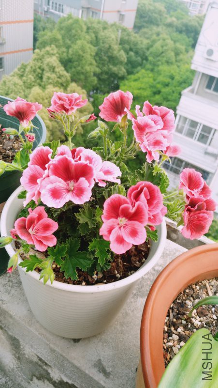 ��Ƭ 094.jpg
